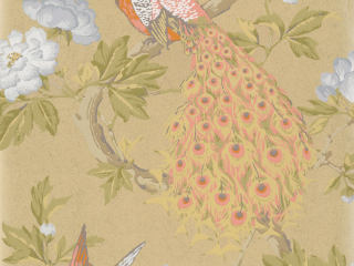 Little Greene Pavona - Gina