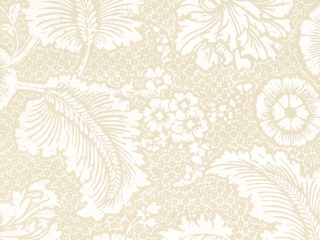 Little Greene Piccadilly - Plume