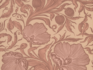 Little Greene Poppy Trail - Masquerade
