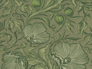 Little Greene Poppy Trail - Sage Green