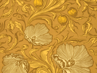 Little Greene Poppy Trail - Yellow Pink
