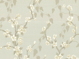 Little Greene Sakura - Fawn