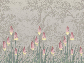 Little Greene Upper Brook Street - Matin