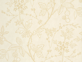 Little Greene Wrest Trail - Sand