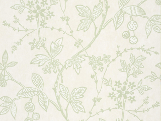 Little Greene Wrest Trail - Shoot