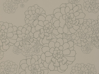 Paint & Paper Library Aeonium - Cotton