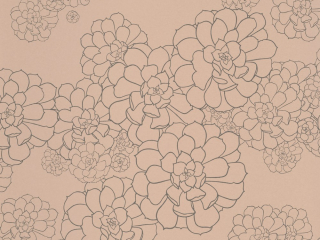 Paint & Paper Library Aeonium - Temple