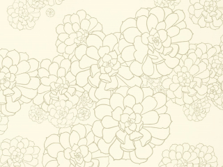 Paint & Paper Library Aeonium - Wattle