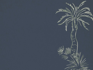 Paint & Paper Library Lighthouse Palm - Blue Pearl
