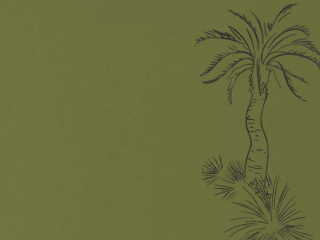 Paint & Paper Library Lighthouse Palm - Chelsea Green