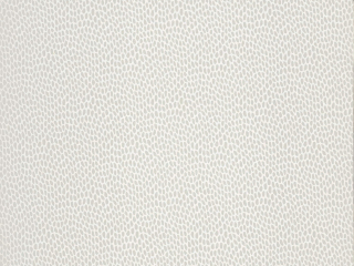 Paint & Paper Library Seedpod - Salt