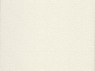 Paint & Paper Library Seedpod - Sand