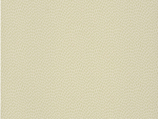 Paint & Paper Library Seedpod - Willow V