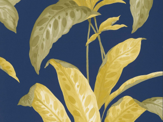 Paint & Paper Library Tropicane - Plimsoll