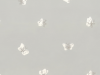 Cole & Son Peaseblossom - 103/10034