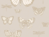 Cole & Son Butterflies & Dragonflies - 103/15064
