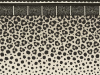 Cole & Son Zulu Border - 109/13061