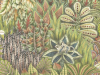 Cole & Son Singita - 109/7034