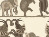 Cole & Son Safari Dance - 109/8036