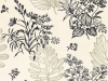 Little Greene Norcombe - Couture
