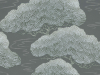 Little Greene Pines - Silver Pine