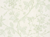 Little Greene Wrest Trail - Shoot