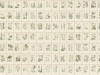Sandberg Botanica - Oat