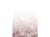 Paint & Paper Library Folia - Plaster