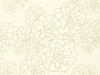 Paint & Paper Library Aeonium - Wattle