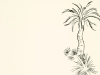 Paint & Paper Library Lighthouse Palm - Pentle