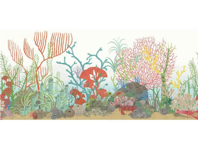 Cole & Son Archipelago Border - 103/12054