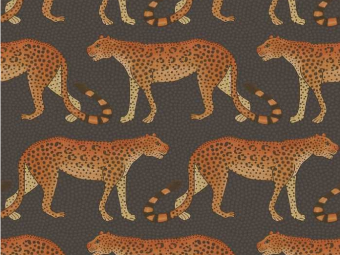 Cole & Son Leopard Walk - 109/2008