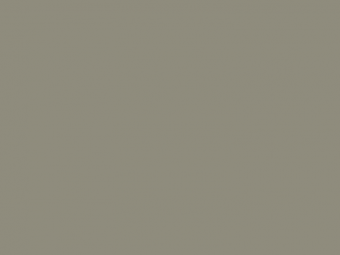 Paint & Paper Library Architects' Gloss - Sharkskin 168