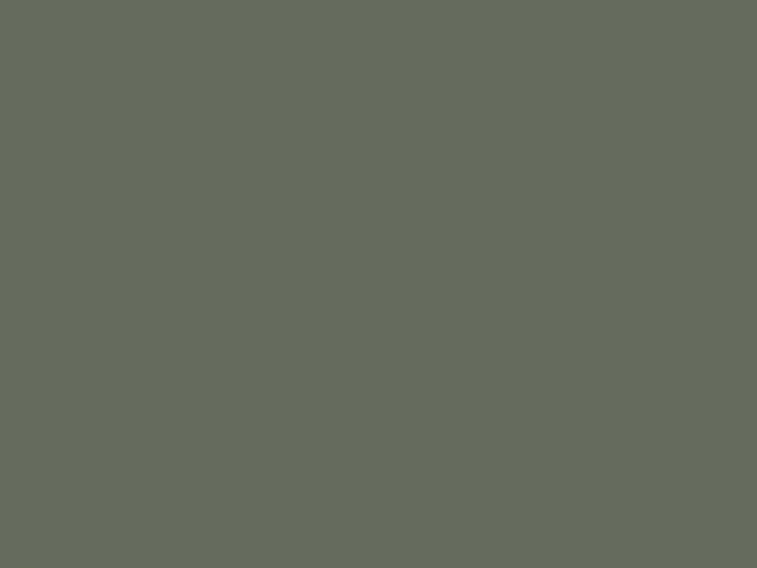 Paint & Paper Library Architects' Gloss - Hornblende 186