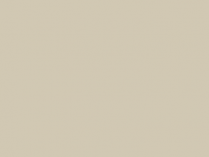 Paint & Paper Library Architects' Gloss - Stone IV 204