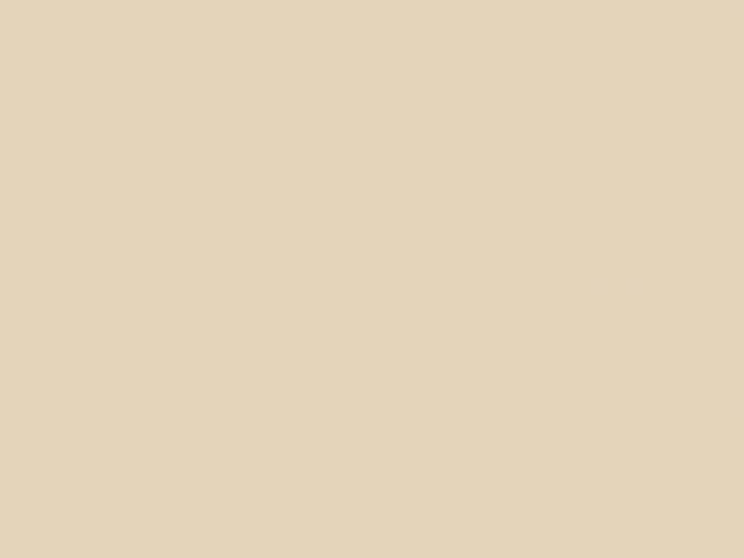Paint & Paper Library Architects' Gloss - Leather III 233