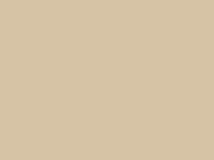 Paint & Paper Library Architects' Gloss - Leather IV 234