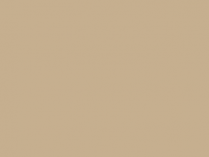 Paint & Paper Library Architects' Gloss - Leather V 235