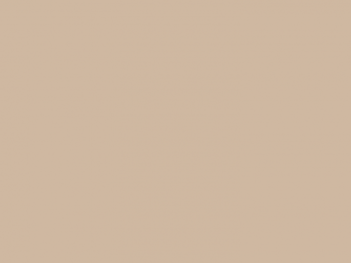 Paint & Paper Library Architects' Gloss - Powder V 295