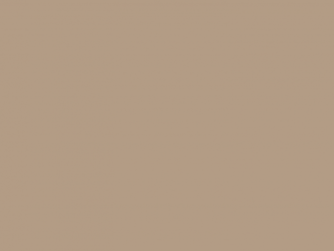 Paint & Paper Library Architects' Eggshell - Mink 297