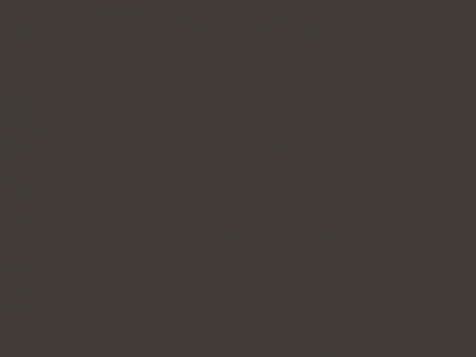 Paint & Paper Library Architects' ASP - Copper Beech 314