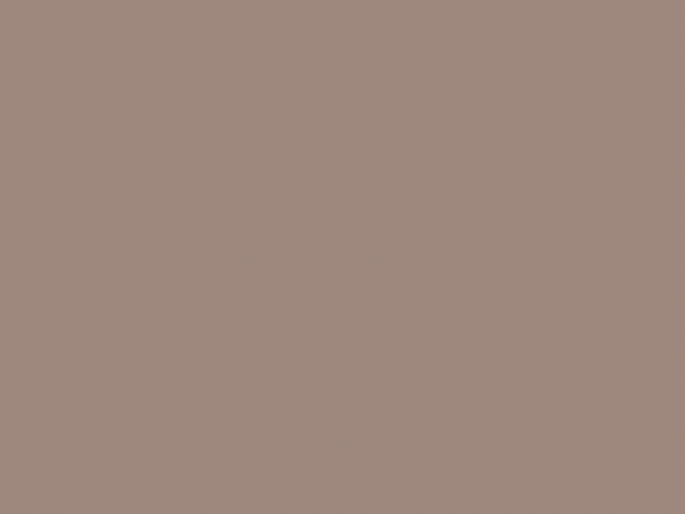Paint & Paper Library Architects' ASP - Rouge II 326