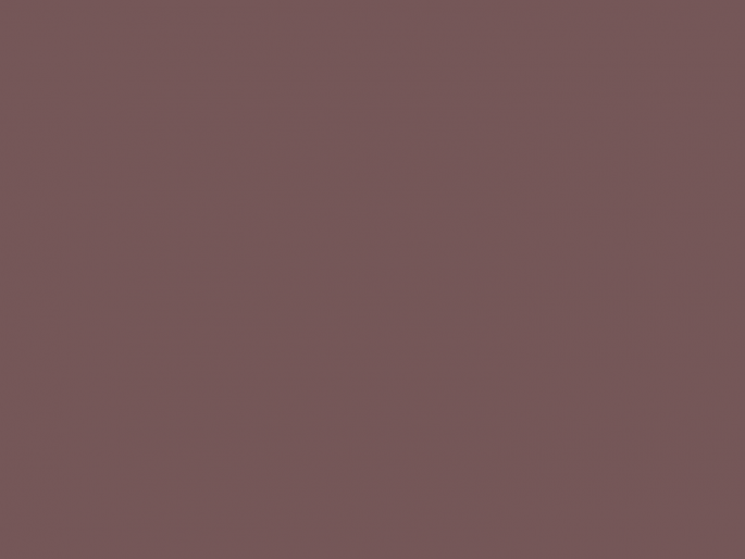 Paint & Paper Library Architects' Gloss - Soumak 339