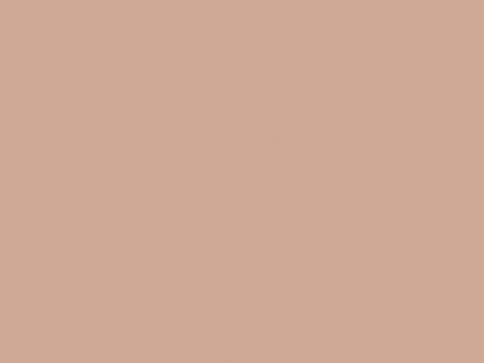 Paint & Paper Library Architects' Gloss - Roben's Honour 344