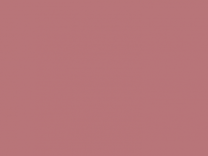 Paint & Paper Library Architects' ASP - Rhubarb 376