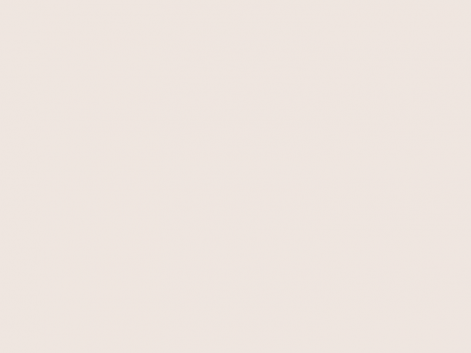 Paint & Paper Library Pure Flat Emulsion - Plaster II 402
