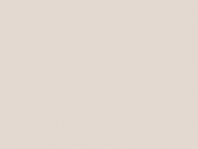 Paint & Paper Library Architects' Gloss - Plaster III 403