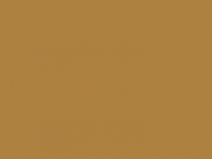 Paint & Paper Library Architects' Gloss - Muga 445