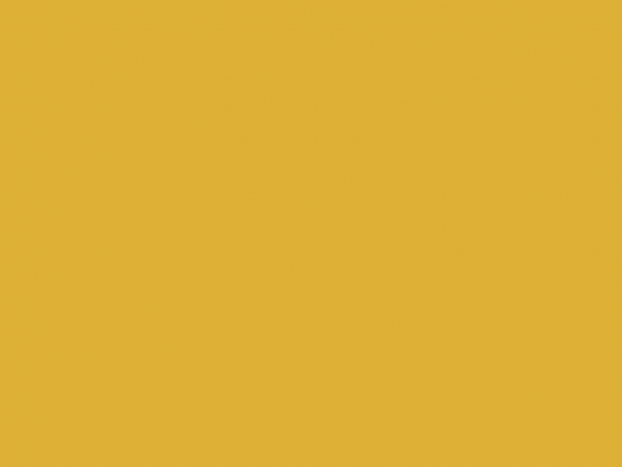 Paint & Paper Library Architects' Gloss - Gamboge 484