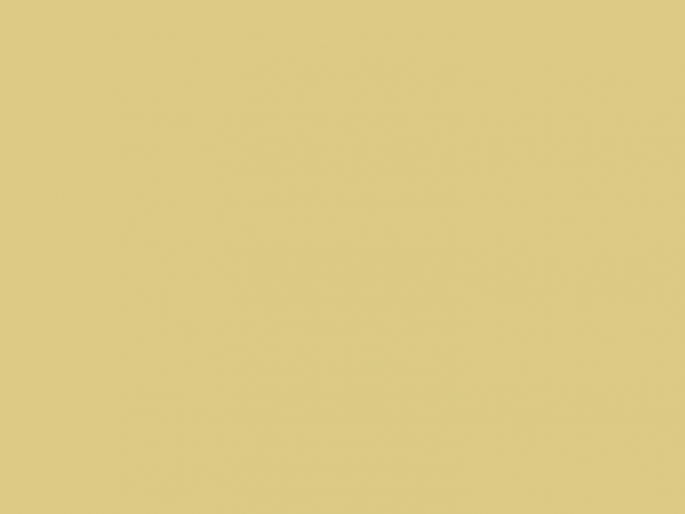 Paint & Paper Library Pure Flat Emulsion - Scallion 519